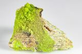 Apple-Green Pyromorphite Crystal Cluster - China #179829-1